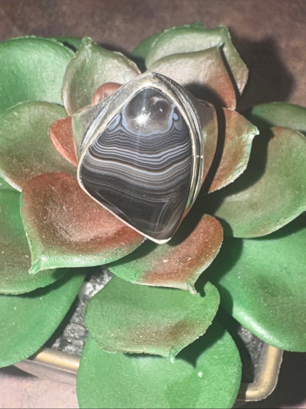 Silver Botswana Agate Ring